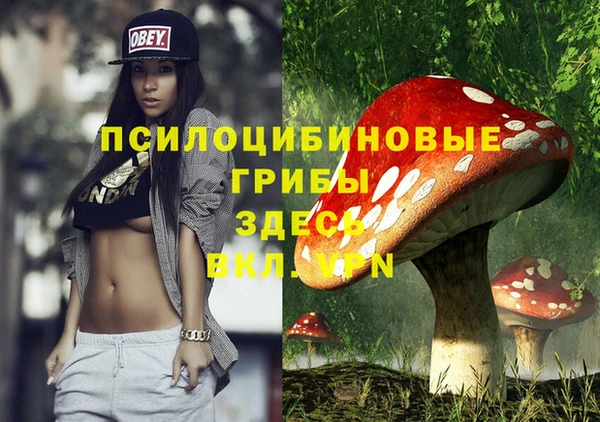 дмт Абдулино