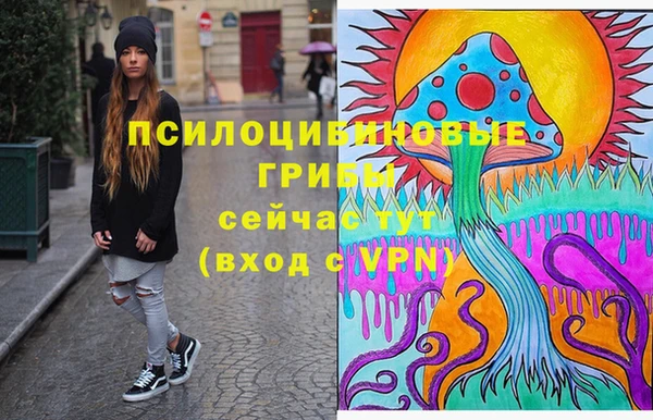 ГАЛЛЮЦИНОГЕННЫЕ ГРИБЫ Абаза