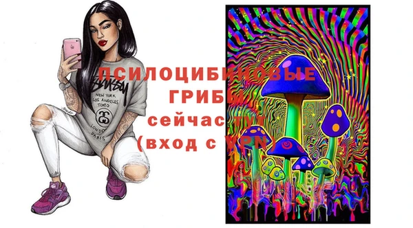 2c-b Пестово