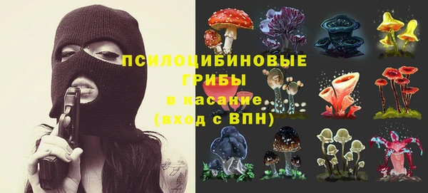 ГАЛЛЮЦИНОГЕННЫЕ ГРИБЫ Абаза