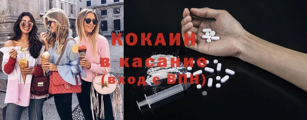 ГАЛЛЮЦИНОГЕННЫЕ ГРИБЫ Абаза